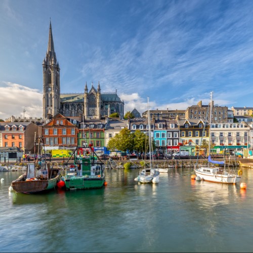 Cork