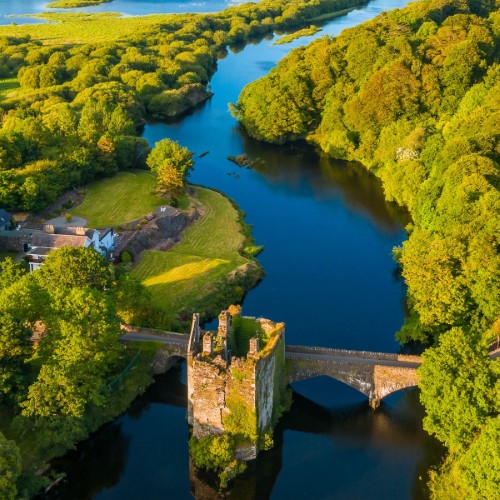Cork